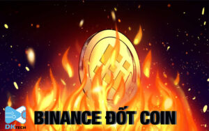 binance đốt coin