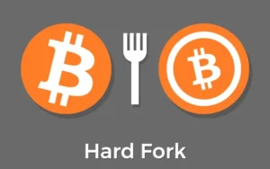 Hard fork là gì?