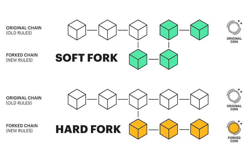 Sự khác nhau giữa hard fork và soft fork