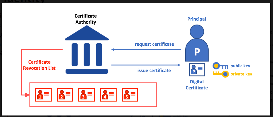 cau-truc-mang-hyperledger-fabric-2