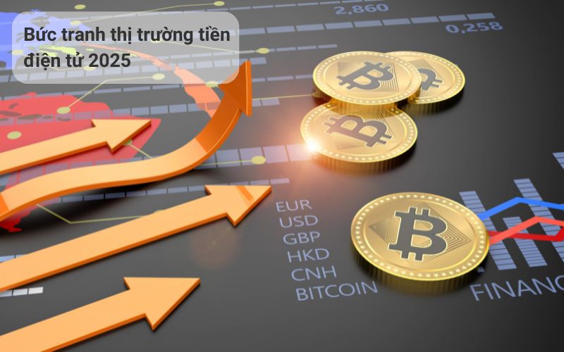 Buc tranh thị truong cac dong tien ao nen dau tu